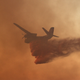 Illustration for article titled How Wildfires Are Fought And What You Can Do If One Threatens You